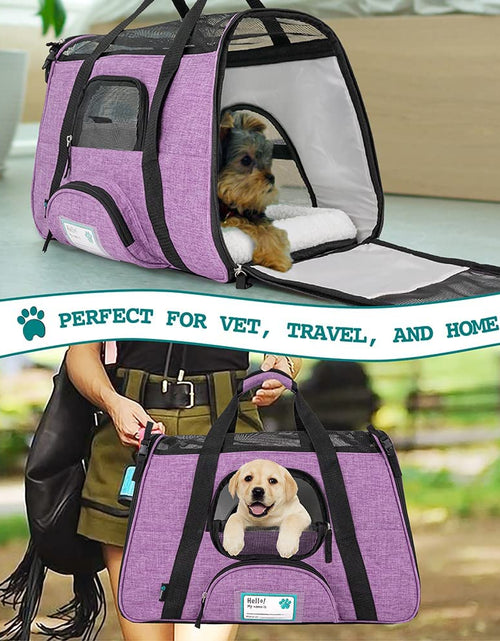 Load image into Gallery viewer, Airline Approved Pet Carrier for Cat, Soft Sided Dog Carrier for Small Dog, Cat Travel Supplies Accessories for Indoor Cat, Ventilated Pet Carrying Bag Medium Kitten Puppy, Large Heather Purple
