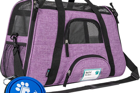 Airline Approved Pet Carrier for Cat, Soft Sided Dog Carrier for Small Dog, Cat Travel Supplies Accessories for Indoor Cat, Ventilated Pet Carrying Bag Medium Kitten Puppy, Large Heather Purple