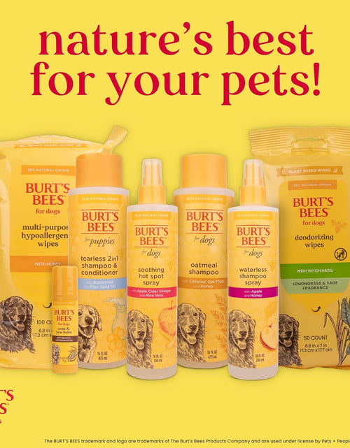 Load image into Gallery viewer, Tearless Puppy Shampoo with Buttermilk, 32Oz | Puppy &amp; Dog Shampoo | Cruelty Free, Paraben &amp; Sulfate Free Shampoo, Natural Shampoo for Dogs, Dog Wash, Dog Soap, Pet Shampoo
