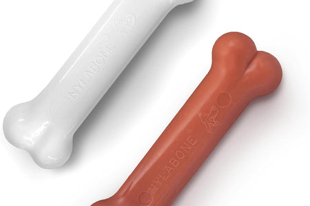 Classic Twin Pack Power Chew Flavored Durable Dog Chew Toy