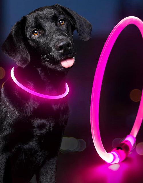 Load image into Gallery viewer, Light up Dog Collars - Waterproof LED Dog Collar, Glow in the Dark Pet Collars, TPU Cuttable Lighted Puppy Collar Lights for Small Medium Large Dogs (Pink)
