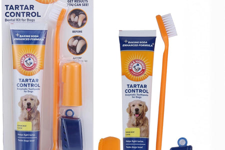 for Pets Tartar Control Kit for Dogs-Contains Toothpaste, Dog Toothbrush & Fingerbrush - Dog Teeth Cleaning Kit, Dog Toothpaste Kit from Arm and Hammer, Dog Dental Care, Pet Toothbrush