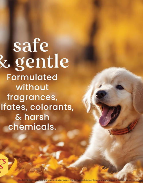 Load image into Gallery viewer, Tearless Puppy Shampoo with Buttermilk, 32Oz | Puppy &amp; Dog Shampoo | Cruelty Free, Paraben &amp; Sulfate Free Shampoo, Natural Shampoo for Dogs, Dog Wash, Dog Soap, Pet Shampoo
