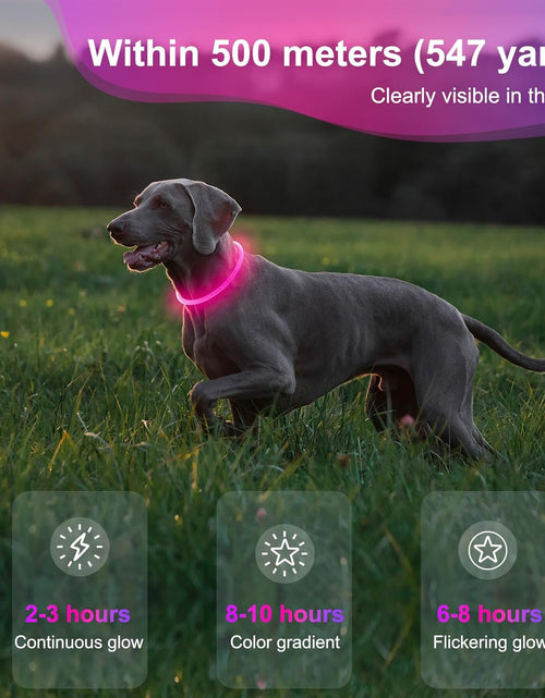 Load image into Gallery viewer, Light up Dog Collars - Waterproof LED Dog Collar, Glow in the Dark Pet Collars, TPU Cuttable Lighted Puppy Collar Lights for Small Medium Large Dogs (Pink)
