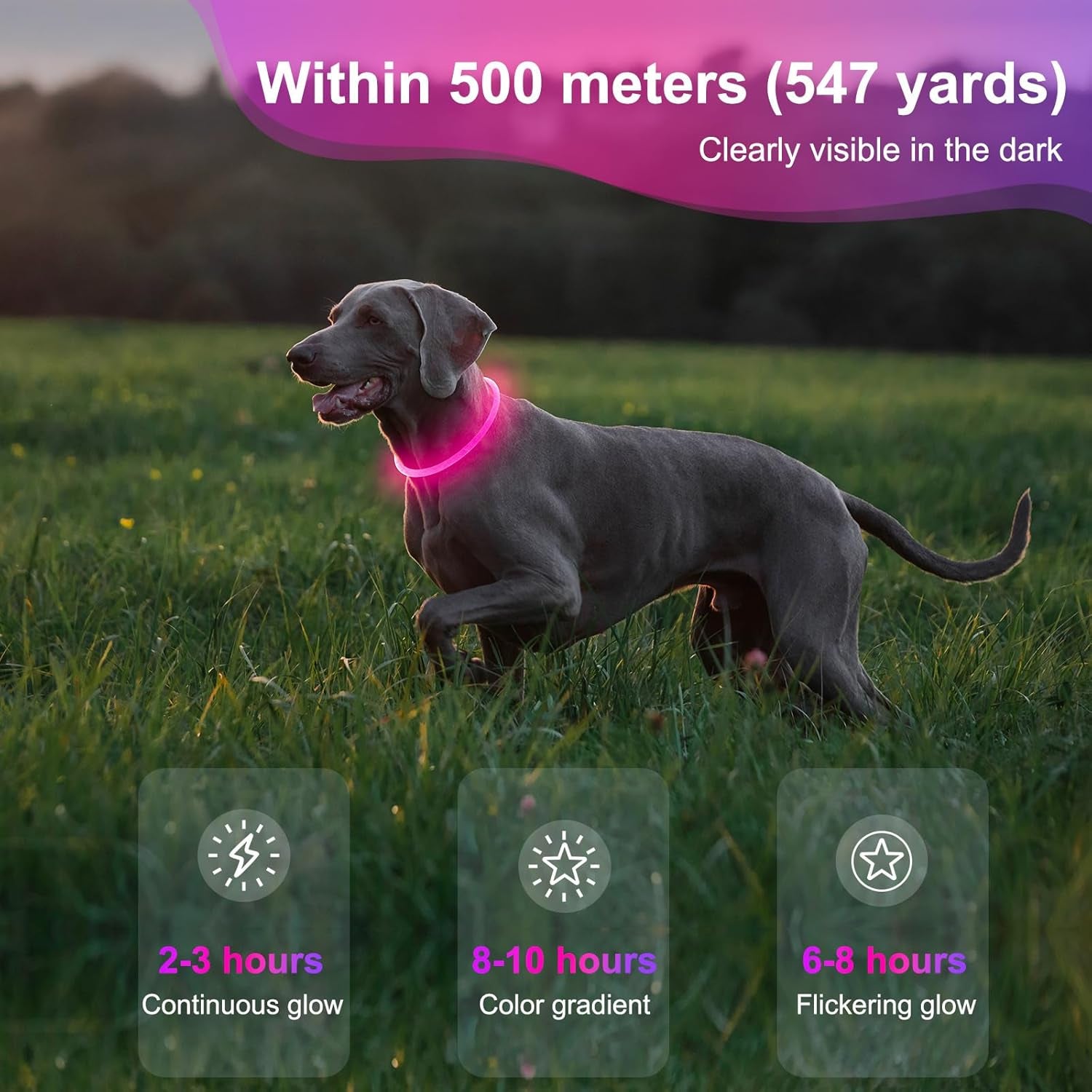 Light up Dog Collars - Waterproof LED Dog Collar, Glow in the Dark Pet Collars, TPU Cuttable Lighted Puppy Collar Lights for Small Medium Large Dogs (Pink)