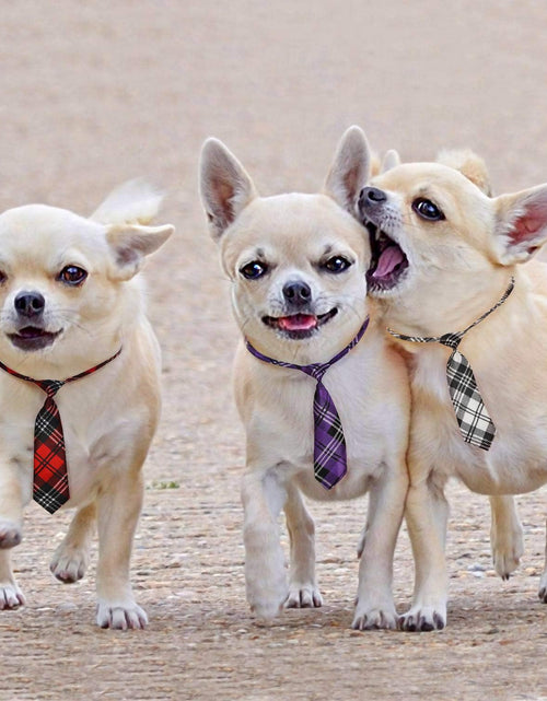 Load image into Gallery viewer, Dog Ties for Large Dogs, Pet Neck Tie, with Adjustable Collar, Bulk Bow Ties Bowties Necktie Grooming Accessories for Girl Boy Dog Valentines Holiday Birthday Wedding Cosplay Costumes
